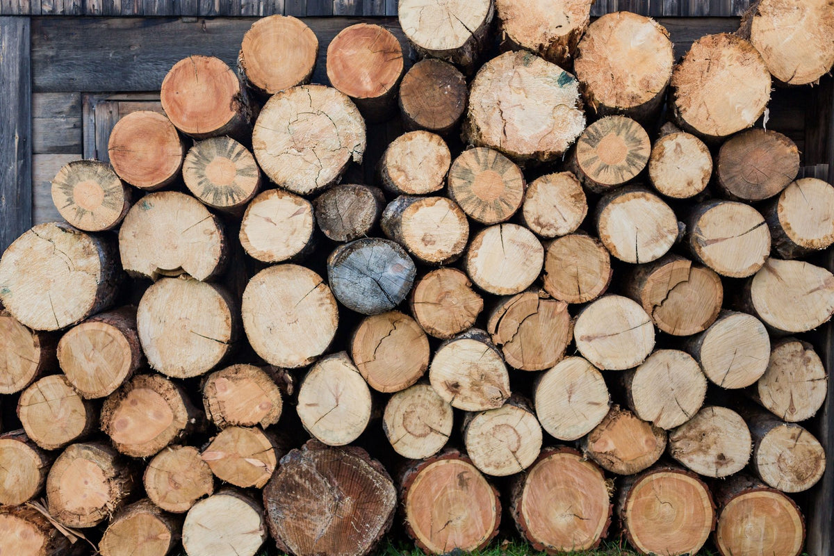 Taller de carpintería donde se reutiliza la madera para fabricar presas Treemers
